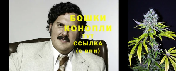 спиды Заводоуковск