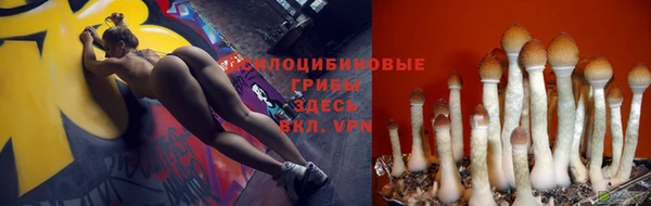 спиды Заводоуковск