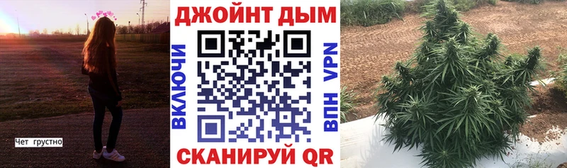 Марихуана конопля  Купить закладки  Шиханы 